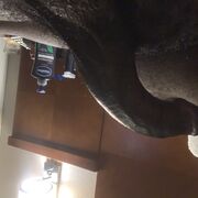 alvinbattle1981@gmail.com