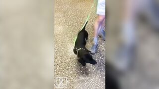 Christie Stevens leaked videos part 3