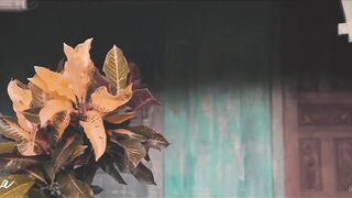 Rachel Cook onlyfans porn shows part 2