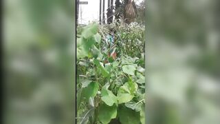 onlyfans fresh onlyfans sex shows leaks mega pack