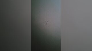 Onlyfans Jesss porn streams pack part 2