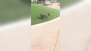 Fresh onlyfans Teanna Trump porn streams part 1