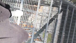 Emy Lee onlyfans nude streams leaks pack part 1