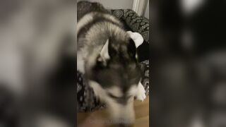 Onlyfans great minato_mei xxx movs pack 5