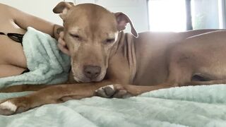 Onlyfans hot itskristinachai nude movies leaks mega pack 4
