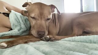 Onlyfans hot itskristinachai nude movies leaks mega pack 4
