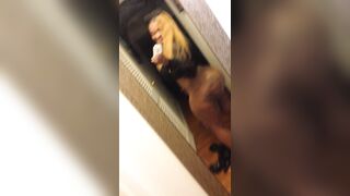 Ashley bombshell onlyfans nude movie leaks mega pack part 1
