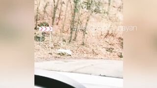 Onlyfans Kaella Diamond porn movies part 5
