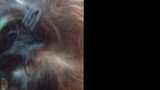 Leaked Harlotquinn porn movie pack part 2
