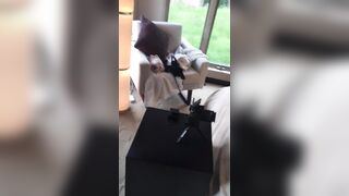 AmberHahn leaked onlyfans nude movs part 5
