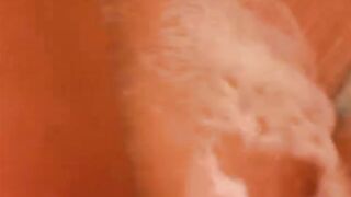 Onlyfans private LxckMyKitt xxx movies leaks pack 4
