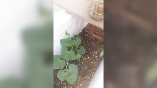 Eva N0tty fresh onlyfans porn movs part 1
