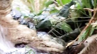 Sexi Barbie onlyfans great sex movies 5
