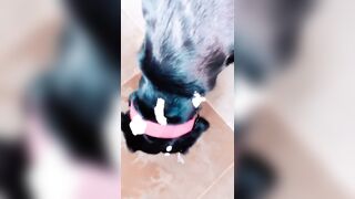 hayleydoll onlyfans nude movs mega pack
