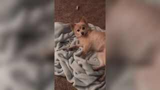 Jessa Rhodes leaked onlyfans xxx broadcast part 4
